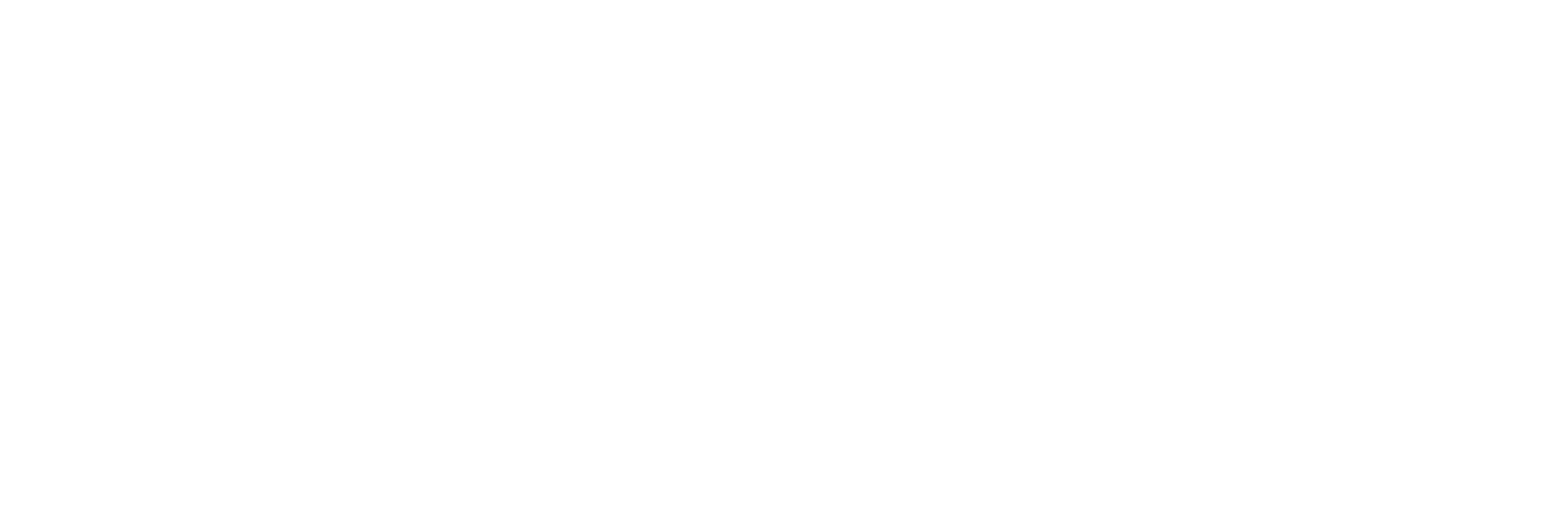 SPECTR Apigee Expert