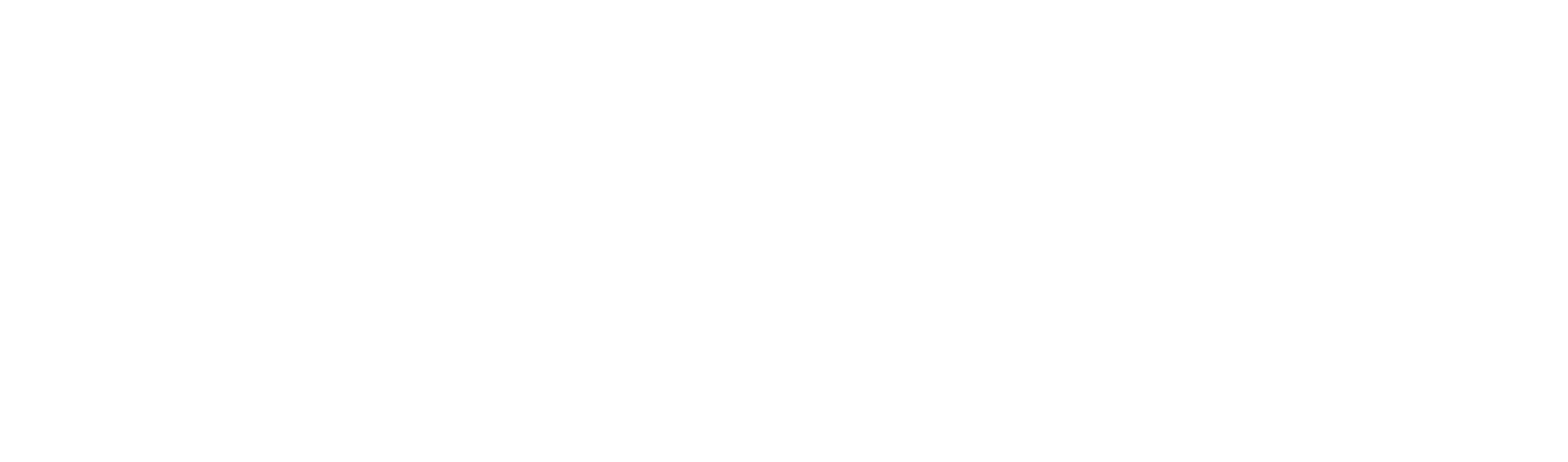 SPECTR Mulesoft expert